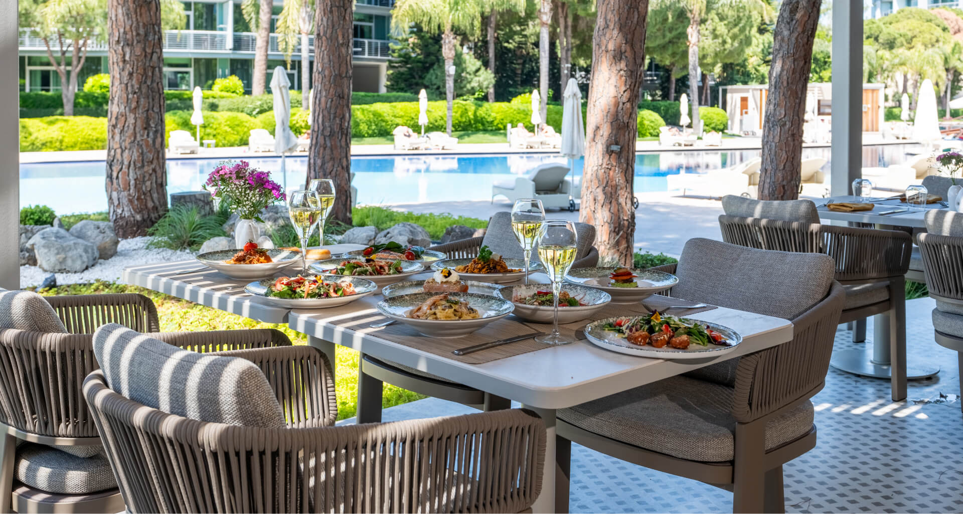 Calista Hotel Banner Harmony D