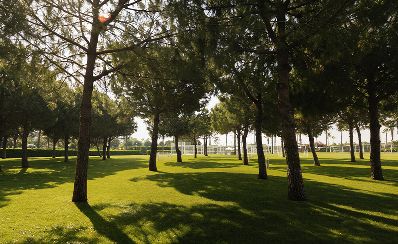 Calista Luxury Resort Blog Surdurulebilirlik Card
