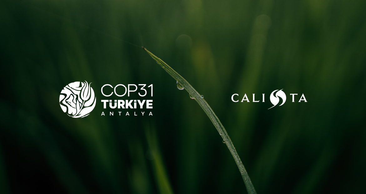 Calista Hotels COP31 B