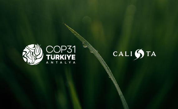 Calista Hotels COP31 K